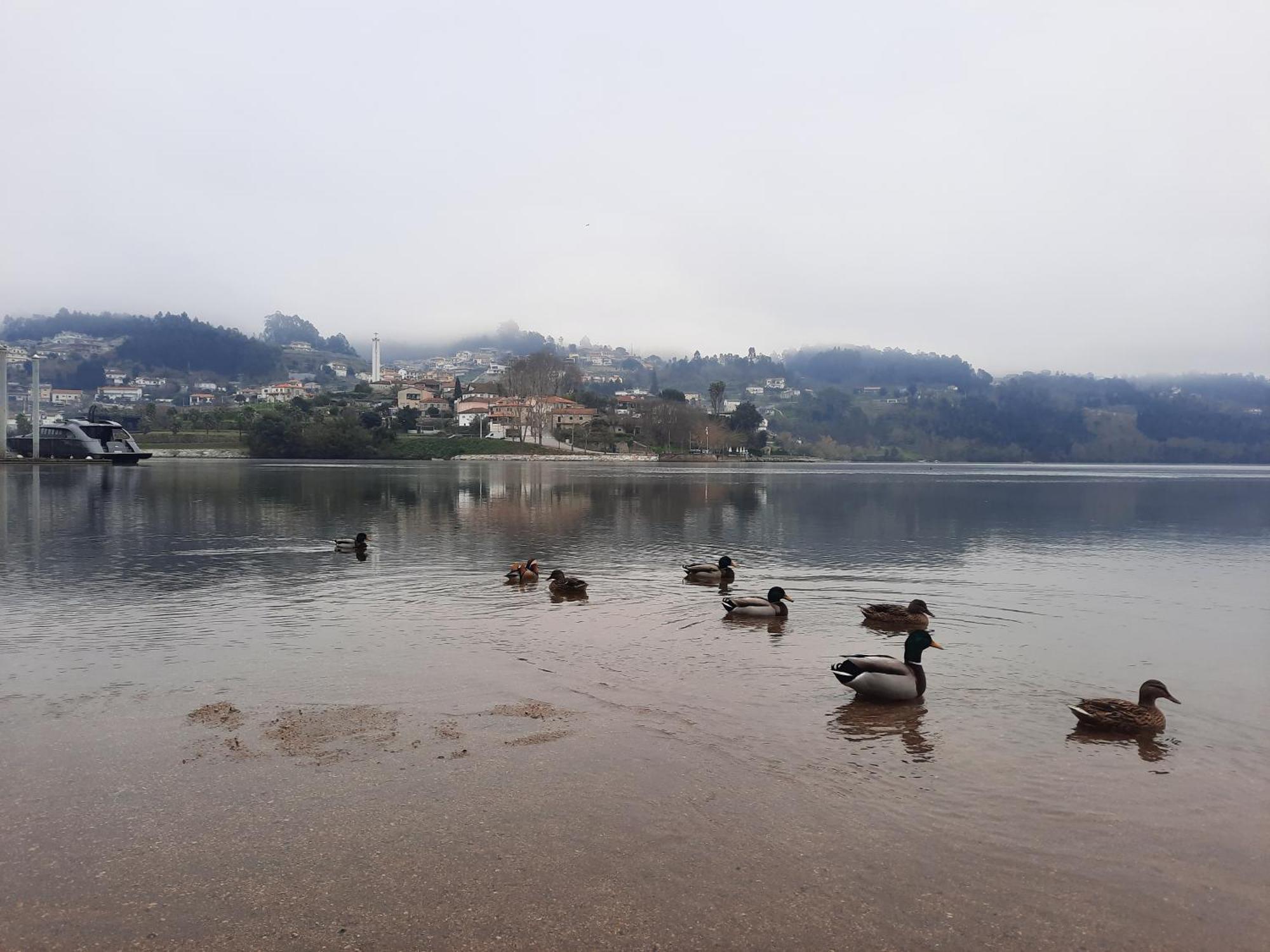 Burguesinha Al * Entre-os-Rios